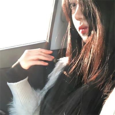 大灰熊2